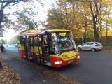 MPK uruchomiło nową linię autobusową we Wrocławiu. Którędy jeżdżą autobusy numer 345? [TRASA, MAPA]