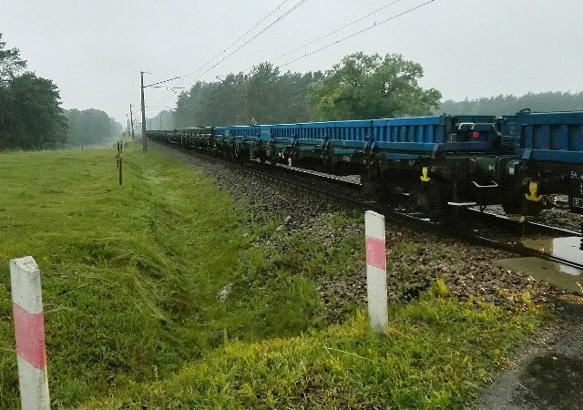 Dziś około godz. 4 rano na niestrzeżonym przejeździe kolejowym w miejscowości Dworaki Staśki 37-letni mężczyzna wjechał wprost przed nadjeżdżający pociąg towarowy relacji Szepietowo – Białystok. Kierujący jechał od strony miejscowości Poświętne.