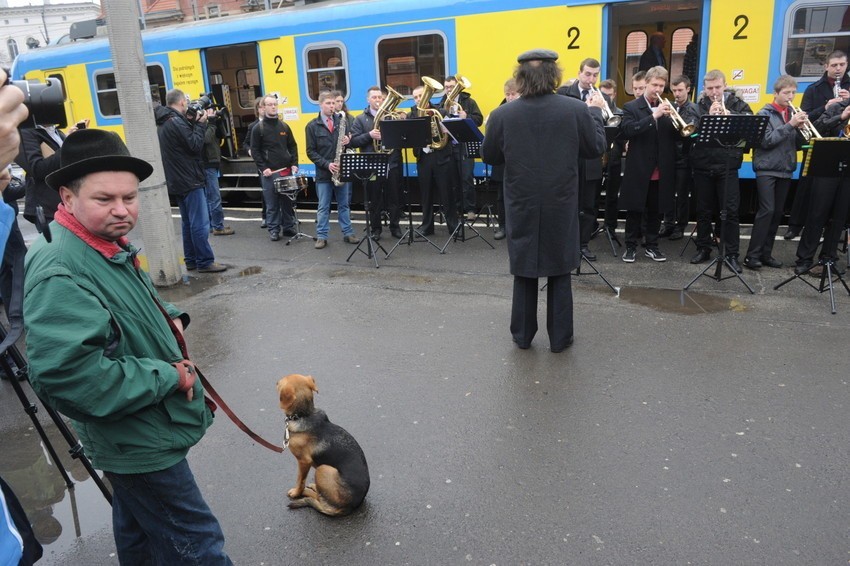 Muzyczny ekspres w Opolu
Muzyczny ekspres w Opolu