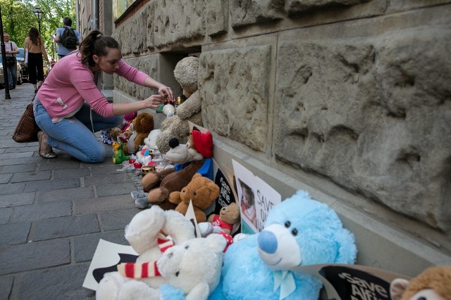 W wielu miastach Polski ludzie włączają się do akcji solidarności z Alfiem. Składają kwiaty, palą świece. Dzisiaj (czwartek) bydgoszczanie też przygotują taką akcję. Wszyscy mieszkańcy regionu mile widziani.
