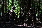 Anakonda 16. Takich ćwiczeń wojskowych nie było u nas od czasu końca PRL-u [ZDJĘCIA]