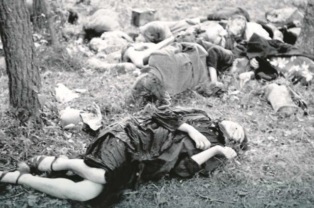 Zwłoki Polaków zamordowanych przez UPA na Wołyniu.