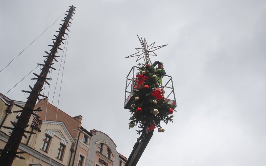 Trwa montaż choinki świątecznej na płycie rzeszowskiego...