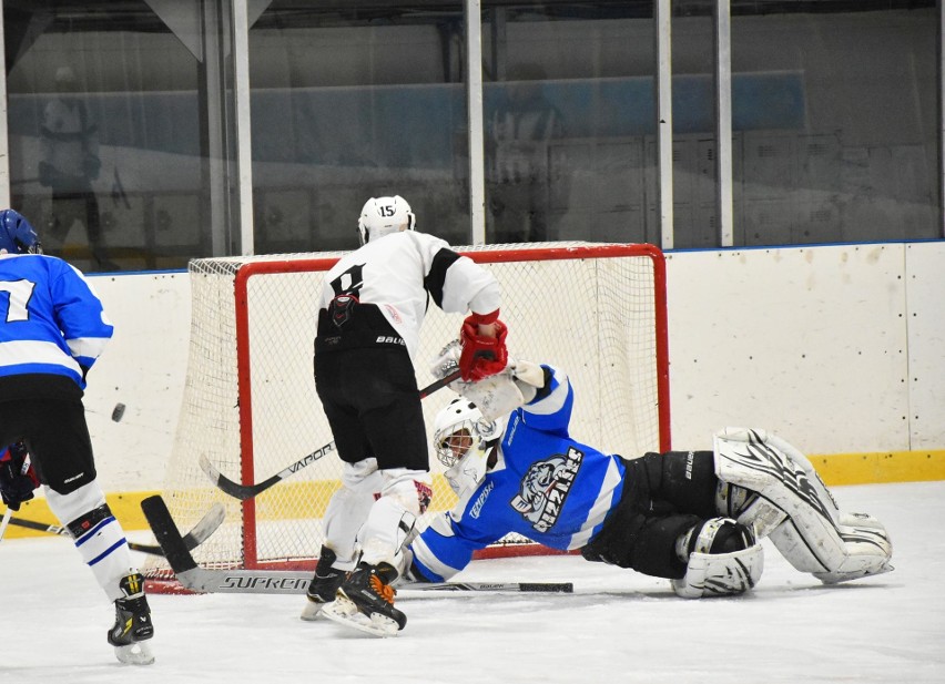 Drużyny z Pomorza rywalizują w Regionalnej Lidze Hokeja w Malborku. W szóstej kolejce wszyscy faworyci wygrali swoje mecze
