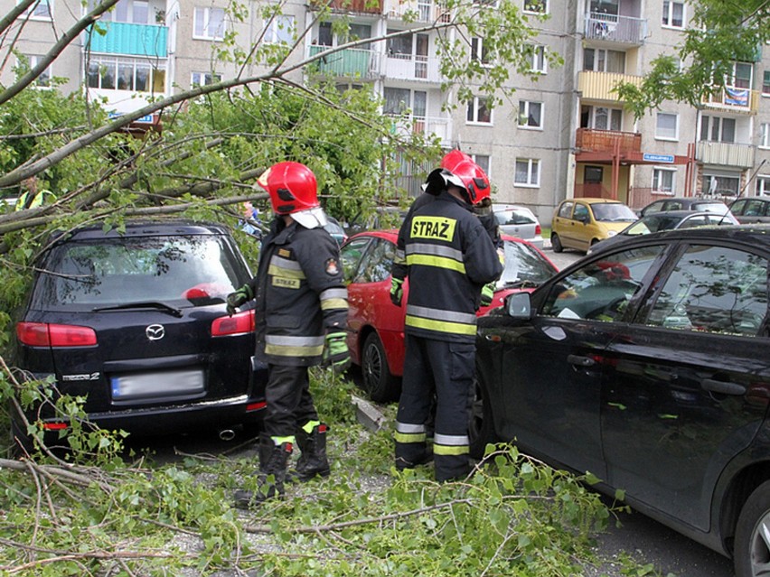 Strażacy usuwają zwalone drzewo w Zielonej Górze.