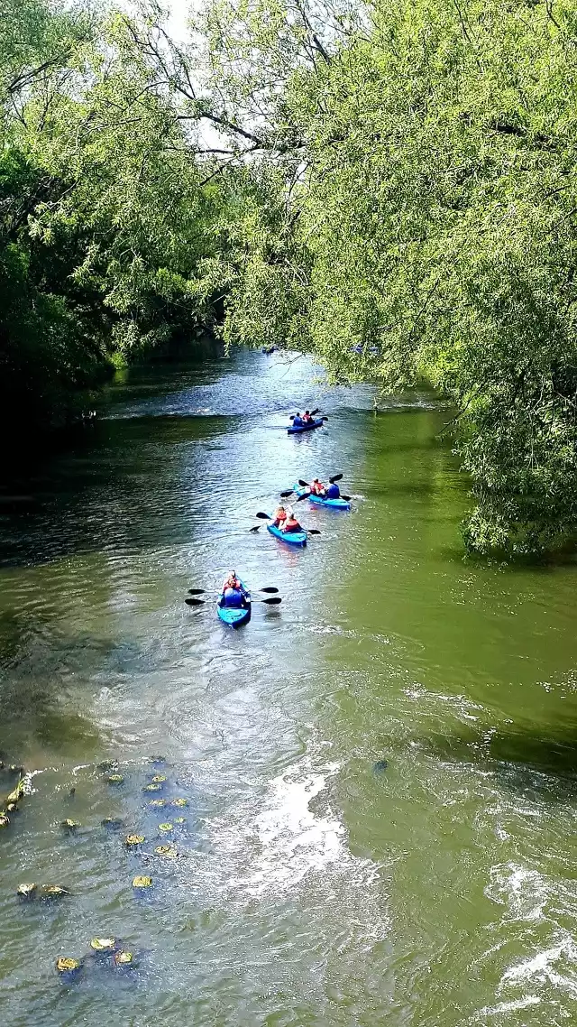Na Opolszczyźnie działa kilkadziesiąt firm i klubów organizujących spływy kajakowe po rzekach w regionie.