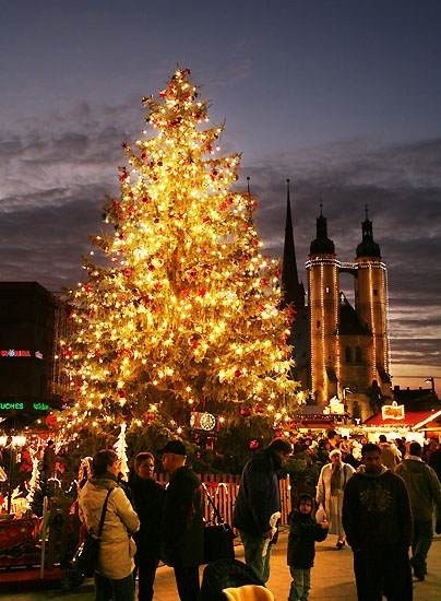 W Niemczech jarmarki bożonarodzeniowe odbywają się od początku adwentu aż do Trzech Króli (6 stycznia). Na żadnym nie może zabraknąć choinki.