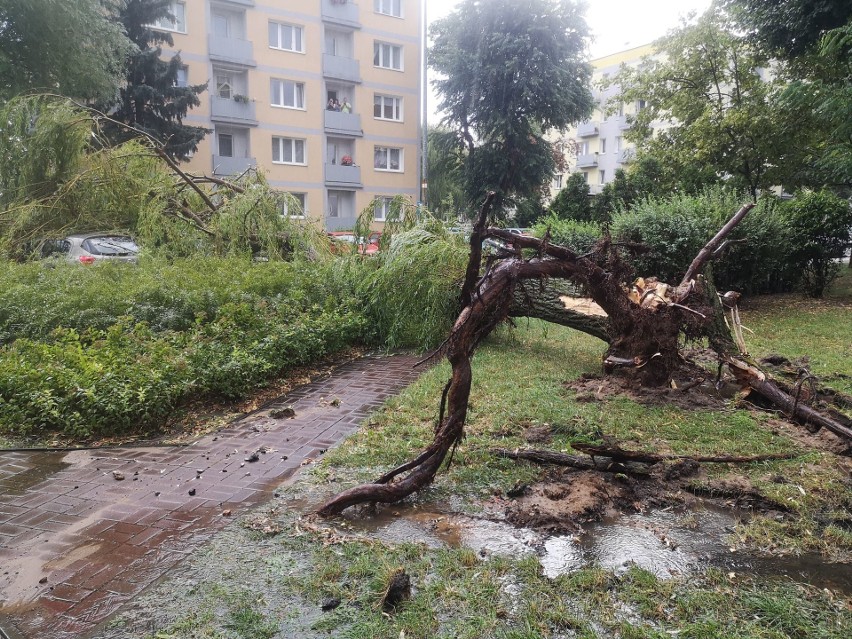 Gwałtowna burza przeszła przez Częstochowę. Wichura wyrywała...