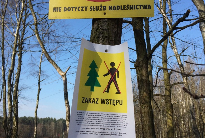 Rząd wprowadził zakaz wstępu do lasu. Prawnicy twierdzą, że...