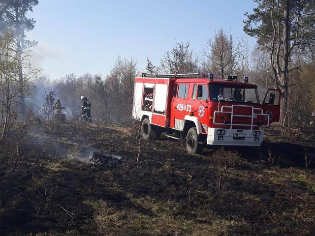 We wtorek około godziny 15:44 jednostka OSP Czaplinek została zadysponowana do pożaru traw w okolicy miejscowości Kuszewo. - Po przybyciu na miejsce stwierdzono, że pali się około 5ha traw  na nieużytkach. Polecono w pierwszej kolejności bronić pasieki znajdującej się w bezpośrednim zagrożeniu pożarem, następnie sukcesywnie nacierać na pożar. W działaniach udział brały: 2 zastępy OSP Czaplinek, 1 zastęp OSP Kluczewo, 1 zastęp OSP Czarne Wielkie, 2 śmigłowce gaśnicze oraz przedstawiciele Lasów Państwowych - piszą na swoim profilu facebookowym strażacy z OSP Czaplinek.Zobacz także: Pożar w halach przy ulicy Lnianej w Koszalinie