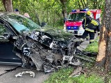Wypadek w Łętowie. 79-latek zjechał na pobocze i uderzył w drzewo. Pasażerka trafiła do szpitala | ZDJĘCIA