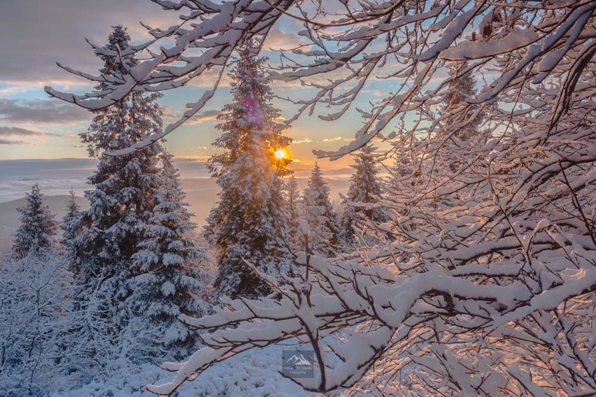 Jaworzyna Krynicka. Nie ma jak zima w górach. Bajkowe widoki z panoramą Tatr. Zobacz zdjęcia