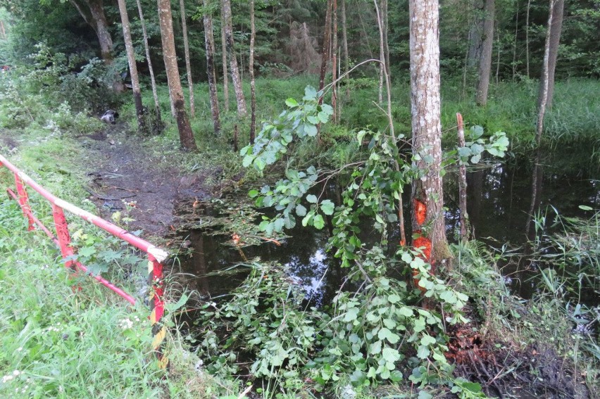 Niedźwiedzi Róg. Wypadek nad jeziorem. Toyota do kasacji (zdjęcia)