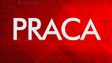 Praca szuka człowieka! Zobacz listopadowe oferty pracy w regionie radomskim. Ponad dwieście ofert z naszych powiatów 