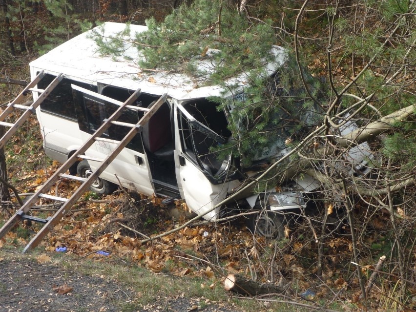 Wypadek w Olkuszu. Bus z niepełnosprawnymi wpadł do rowu. Osiem osób w szpitalu