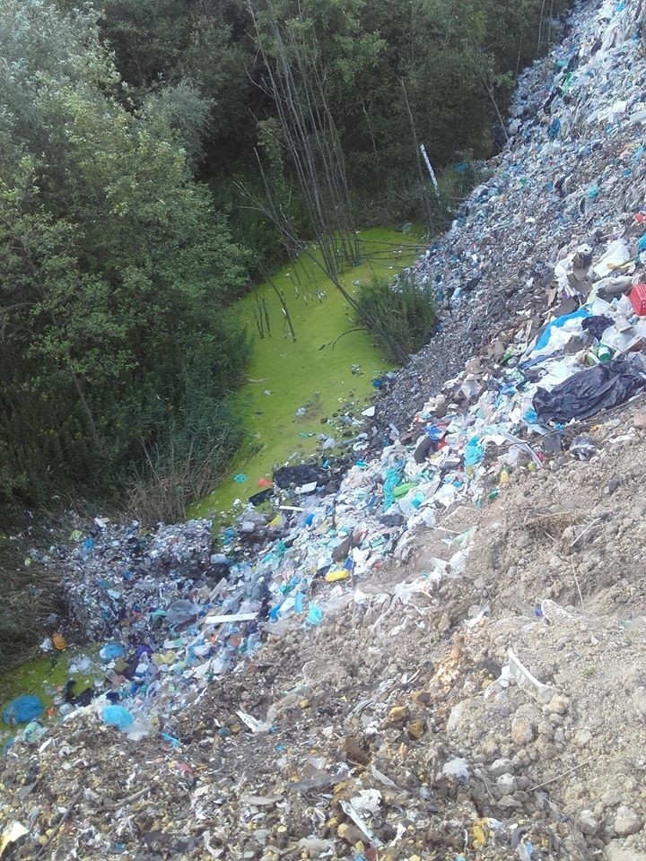 Nielegalne wysypisko śmieci na terenie kopalni Miechowice w...