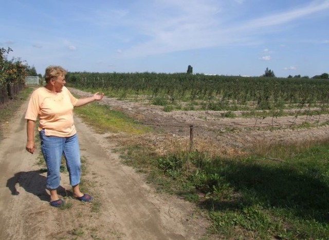 - Tędy miała przebiegać droga dojazdowa do naszej wsi &#8211; pokazuje Anna Matusiewicz, sołtys Skurowa.