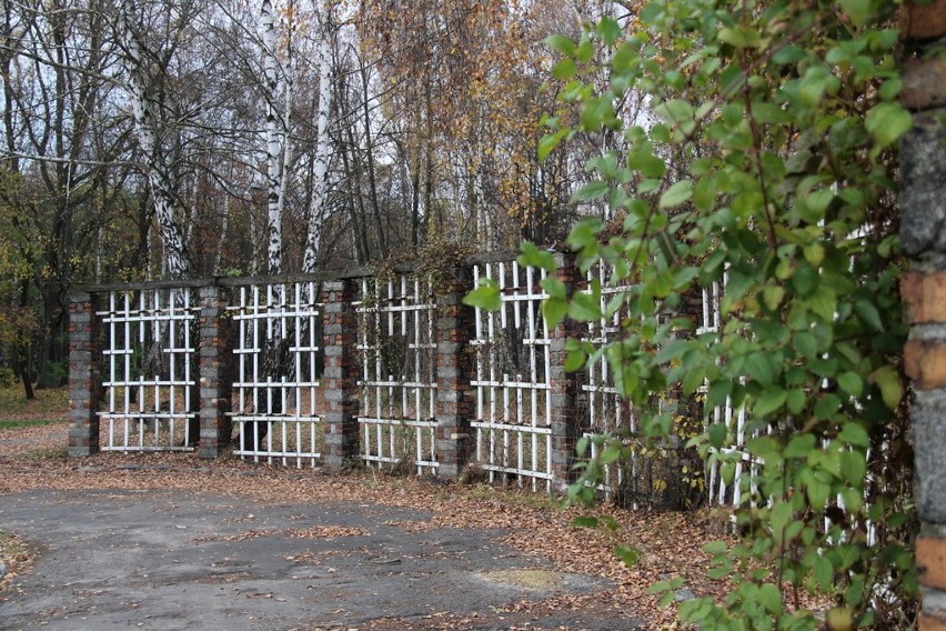 Tak wygląda park Zielona w jesiennych barwach