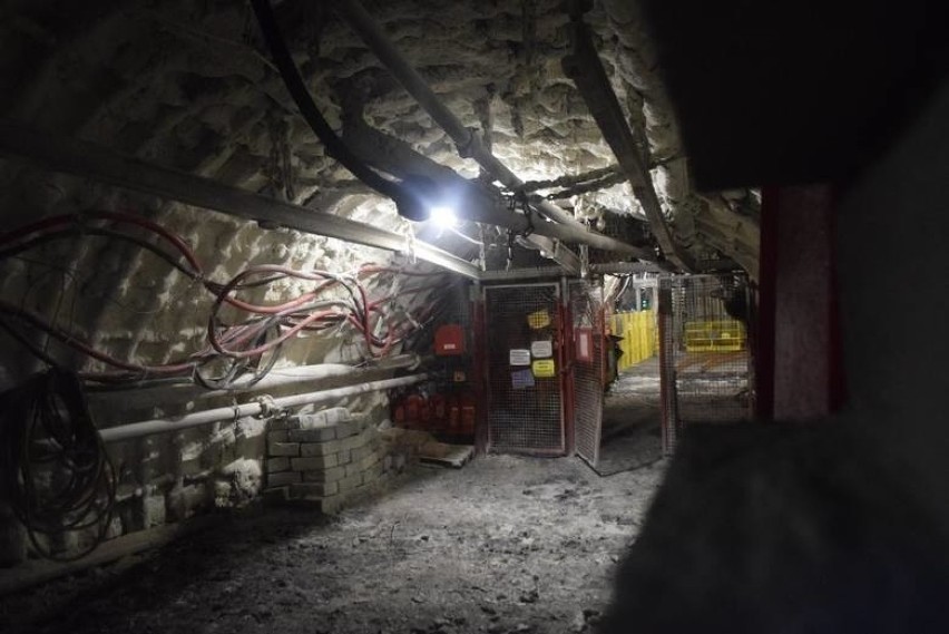 Węgiel w kopalni Budryk mógł kupić każdy, kto był w stanie...