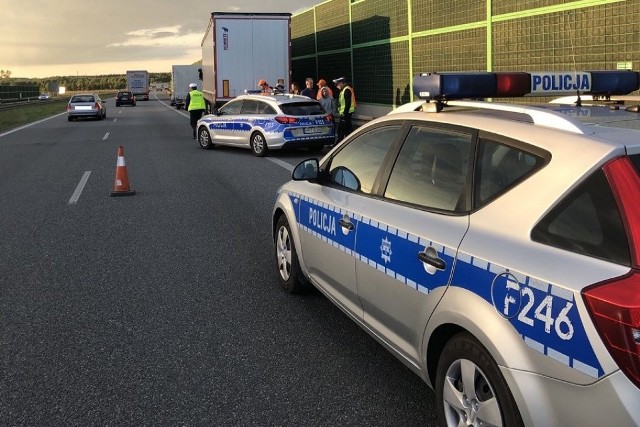 Policjanci z drogówki zatrzymali w Łodzi pijanego kierowcę tira z Białorusi, który był tak "sfatygowany" (miał ponad 3,5 promila!), że... zasnął w radiowozie