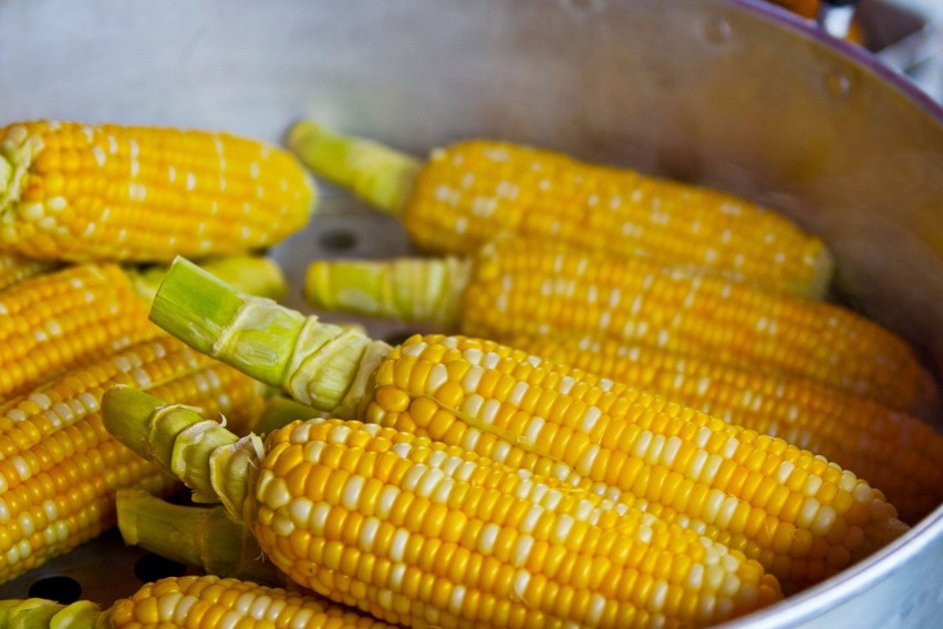 Po słodkie kolby kukurydzy najlepiej sięgać od lipca do...
