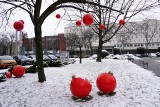 Bombki i bombeczki. UMCS w Lublinie gotowy na święta. Zobacz świąteczne dekoracje lubelskiej uczelni