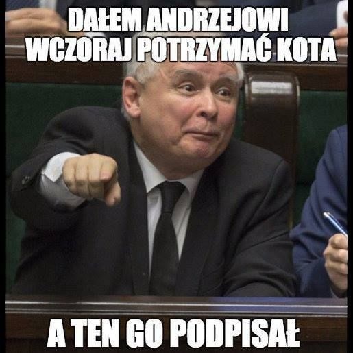 Dzień Sejmu Polskiego 2020. Zobacz najlepsze memy o politykach [GALERIA]