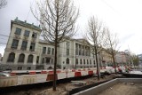 Pierwsze drzewa na ulicy Warszawskiej w Katowicach. Wkrótce ten odcinek się pięknie zazieleni