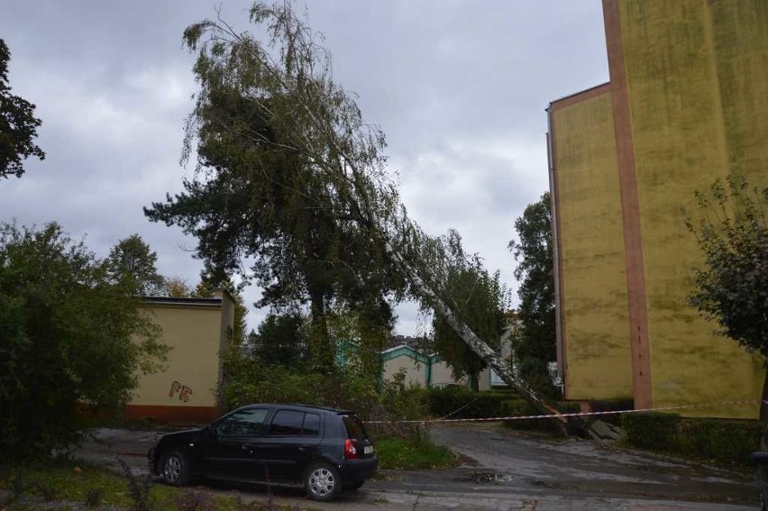 Spustoszenia po Xavierze! Zablokowane drogi w powiecie starachowickim. Drzewo spadło na jadące auto