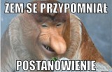 Memy na Nowy Rok 2019. Postanowienia noworoczne - najlepsze memy Internautów [ZDJĘCIA]