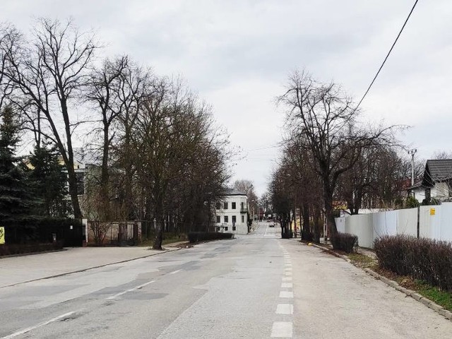 Ulica Poświętne w Grójcu ma przejść generalną modernizację. Czy dojdzie natomiast do planowanej wycinki drzew?