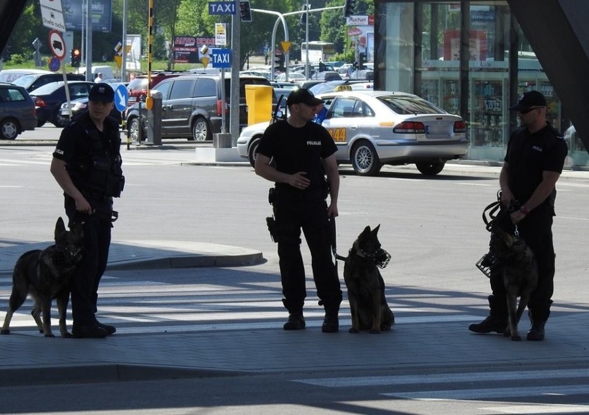 Szkolenie psów policyjnych na terenie dworca PKS Nova w...