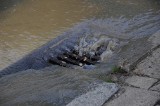 Rzeka na Stefanowskiego . Woda wybiła spod jezdni (wideo, zdjęcia)
