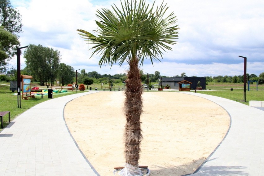 Tak wygląda plaża miejska nad Czarną Przemszą