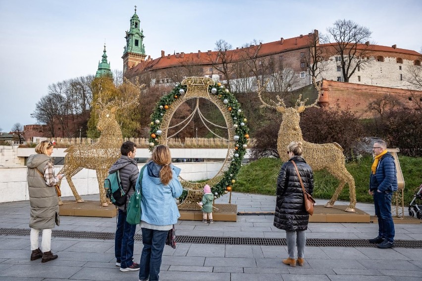 W Krakowie pojawiły się już ozdoby świąteczne. Pod Wawelem można zobaczyć dwa koty