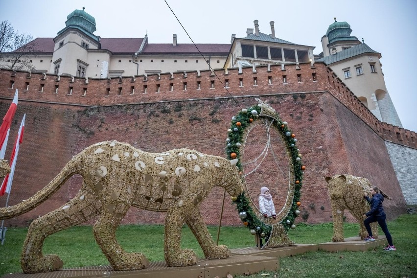 W ramach dekoracji świątecznej w tym roku pod Wawelem...