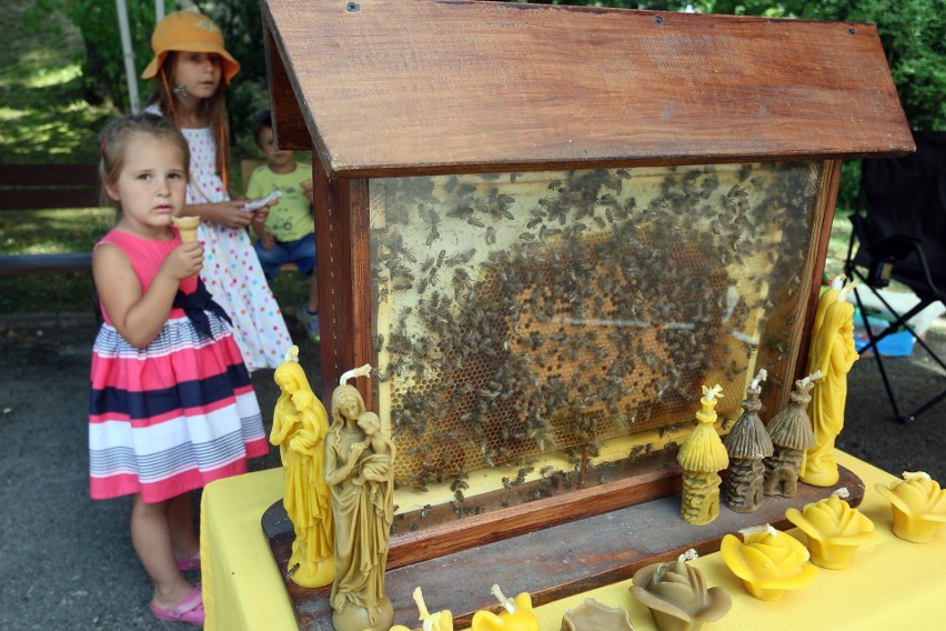 Święto Pszczół w Ogrodzie Botanicznym (ZDJĘCIA)          