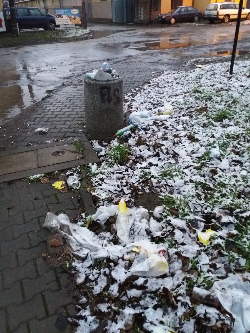 Kraków. Ktoś zrobił śmietnik wśród drzew. MPO posprzątało