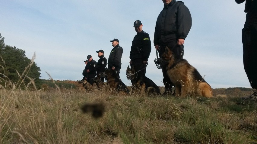 Psy, które "służą" w kujawsko-pomorskiej policji są świetnie...