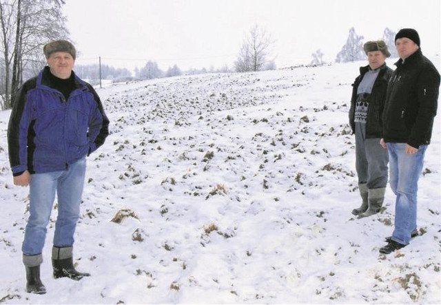 Dziki rządzą, a urzędnicy - nic