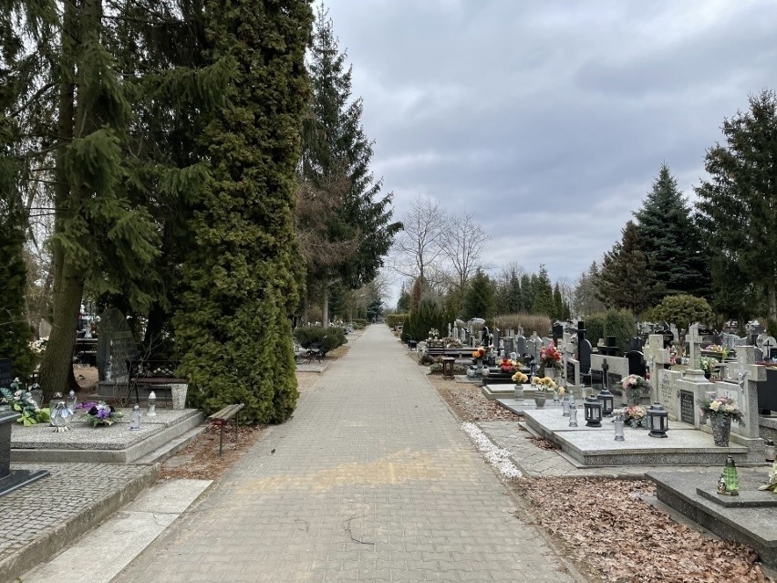 Powiększanie gorzowskiego cmentarza potrwa do października...