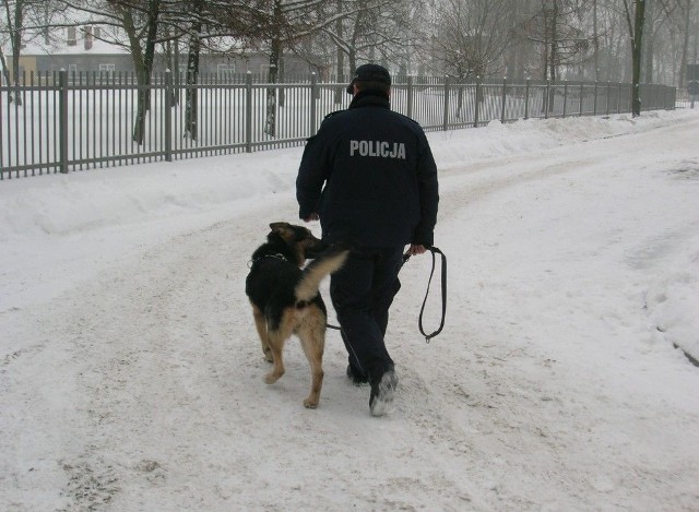 Policyjny pies znalazł w śniegu pojemnik z gazem użyty do napadu na sklep przy ulicy Zuchów w Białymstoku
