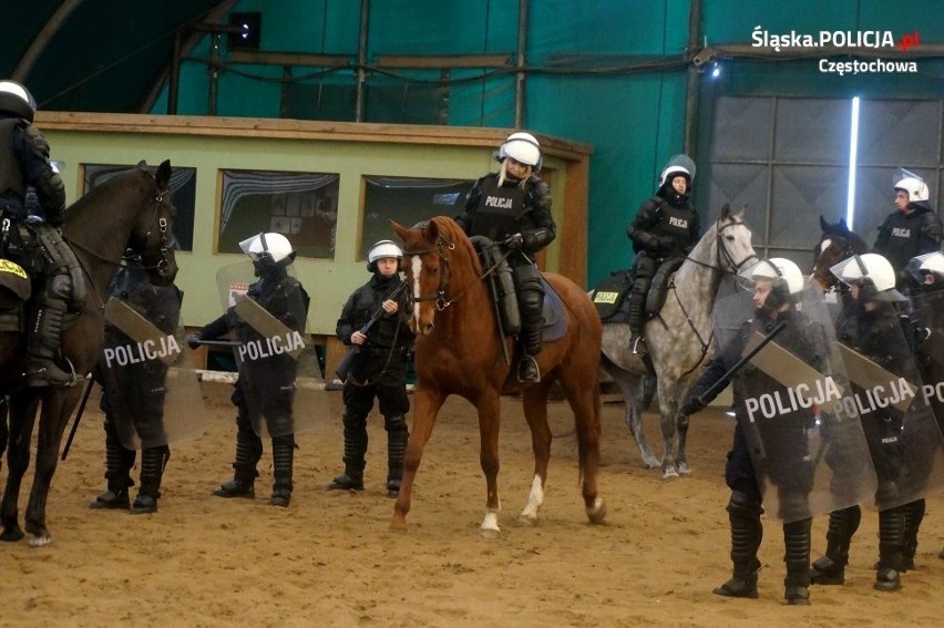Nowe konie policyjne w Częstochowie i w Chorzowie