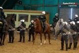 Cztery konie zdały policyjne egzaminy i mogą rozpocząć służbę w częstochowskiej i chorzowskiej policji ZDJĘCIA