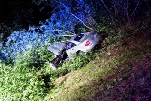 Wypadek w Sewerynowie, 8.08.2022. Samochód uderzył w łosia. Kierowca zginął