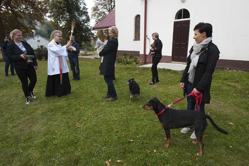 Niedzielne nabożeństwo w towarzystwie swojego zwierzaka [zdjęcia]