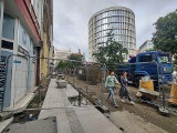 Walka z betonozą w Poznaniu i obrona drzew! Jak minął rok pod znakiem ekologii?