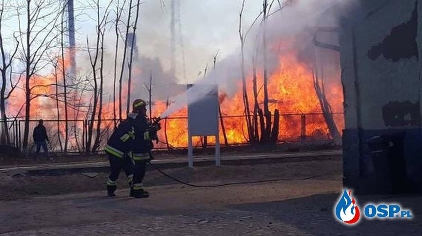 Wielki pożar tartaku w Dziemianach pod Kościerzyną, 14.04. 2019. Aż 22 zastępy strażaków brały udział w akcji gaśniczej [zdjęcia, video]