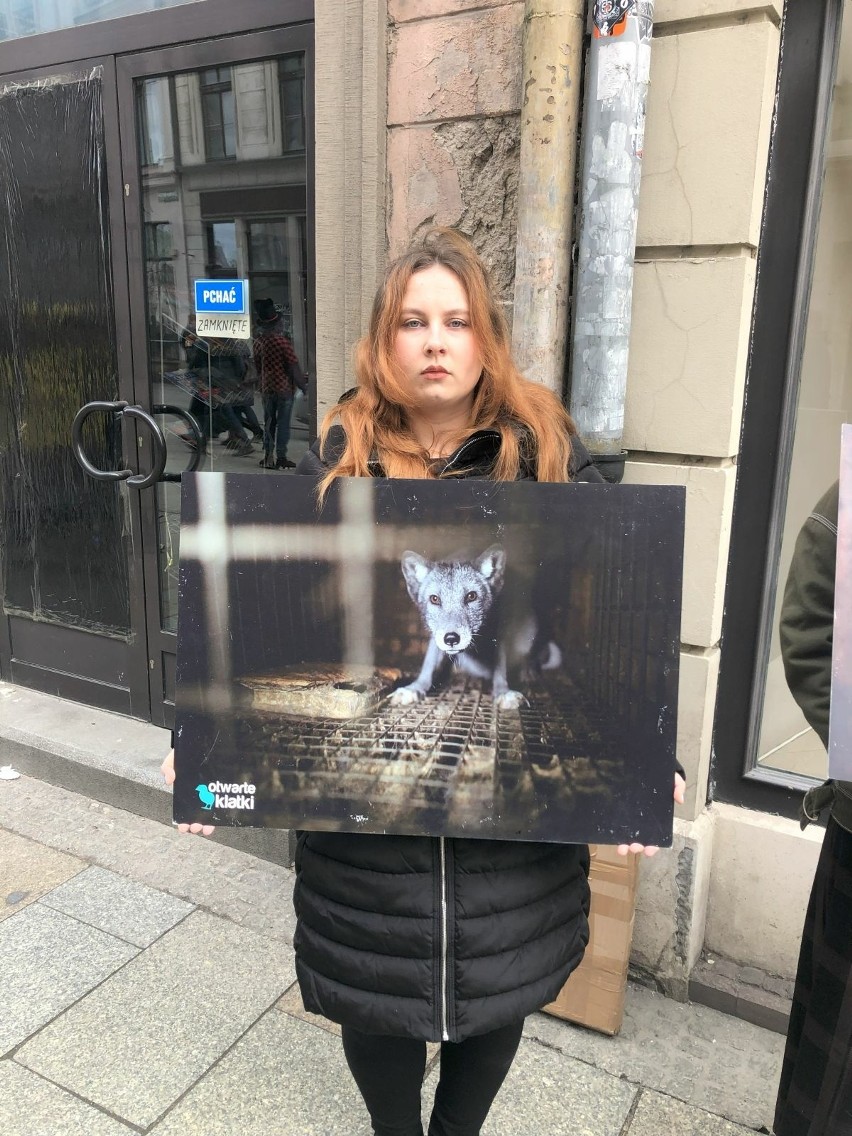Protest w Krakowie. Aktywiści ze Stowarzyszenia Otwarte Klatki pikietowali przed sklepem znanej marki. Chcą wycofania futer z kolekcji