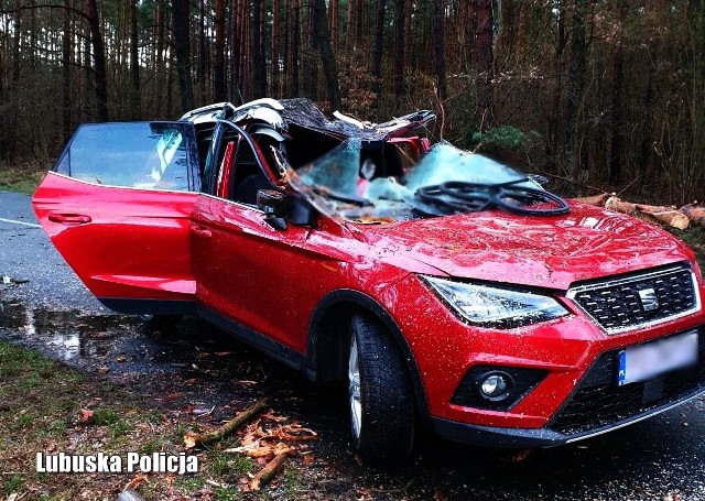 Do tragicznego zdarzenia doszło nad ranem w czwartek 17 lutego. Na samochód jadący trasą Kalsko - Międzyrzecz spadło drzewo. - Do zdarzenia doszło około godz. 6.30. Kierowca podróżował samochodem marki seat. Nagle na jego samochód zawaliło się drzewo. Zginął na miejscu - poinformował nas bryg. Dariusz Rzepecki z PSP w Międzyrzeczu.Do tragedii doszło w okolicach Kalska, pod Międzyrzeczem. Na miejscu pracują policjanci i prokurator.-  Niestety mimo prób podjętych przez służby ratunkowe jego życia nie udało się uratować. Droga w miejscu zdarzenia jest nieprzejezdna, a policjanci wykonują szczegółowe oględziny. Zorganizowano objazdy trasami alternatywnymi. Ta tragedia pokazuje, jak niebezpieczna jest natura i jak mocno należy się z nią liczyć - mówi podinsp. Marcin Maludy, rzecznik lubuskich policjantów.